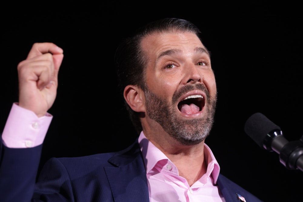 Donald Trump Jr. speaks during a rally.