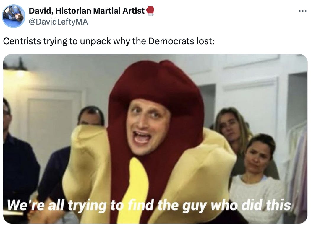 Twitter screenshot David, Historian Martial Artist🥊 @DavidLeftyMA: Centrists trying to unpack why the Democrats lost: (meme: guy in a hot dog suit with the caption "We're all trying to find the guy who did this")