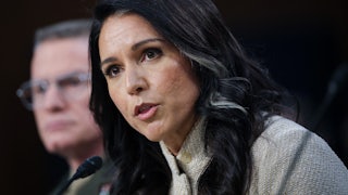 DNI Director Tulsi Gabbard