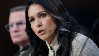 DNI Director Tulsi Gabbard