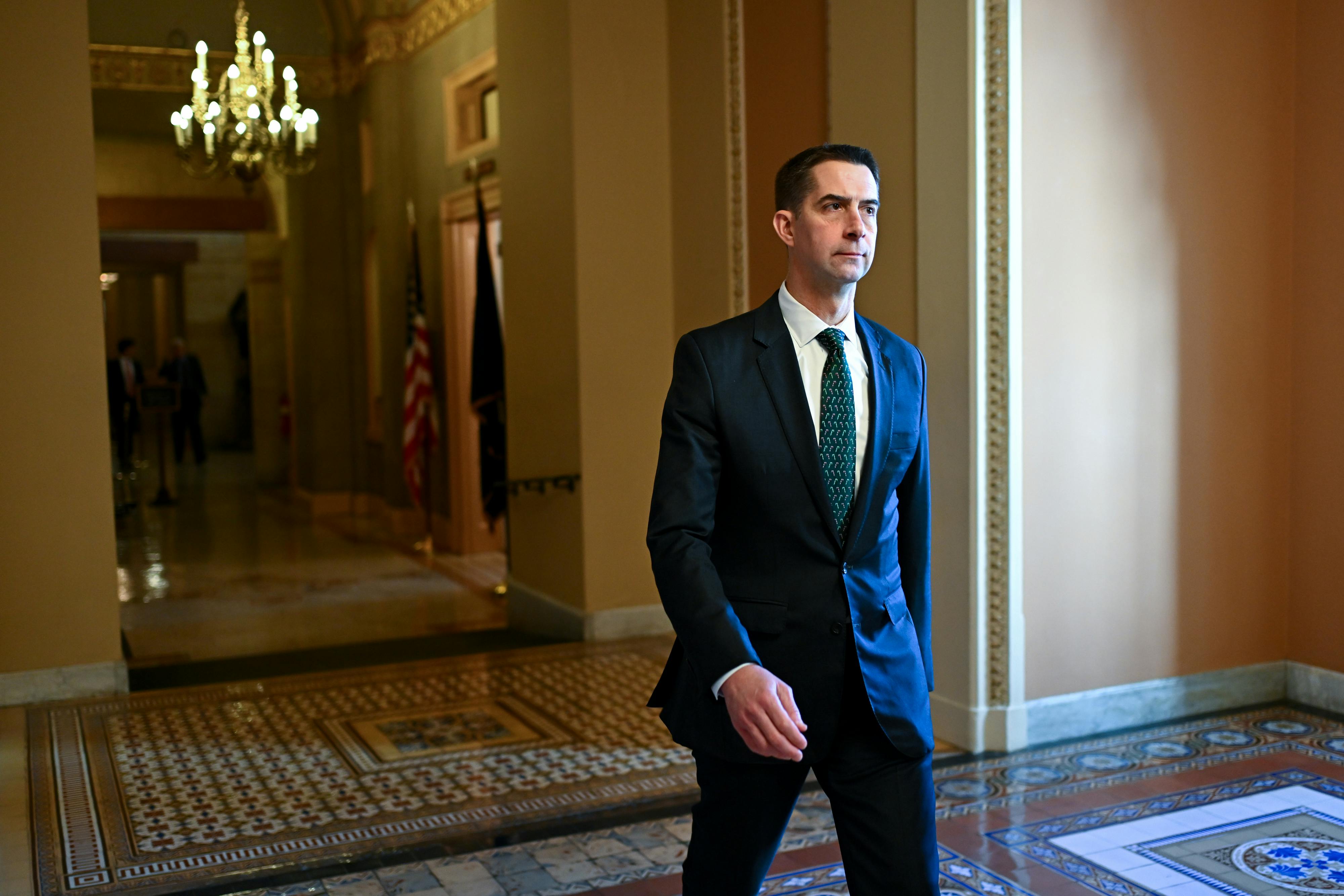 Senator Tom Cotton walks in the U.S. Capitol