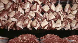 Cuts of raw beef hang from the ceiling with tins of chopped beef below.
