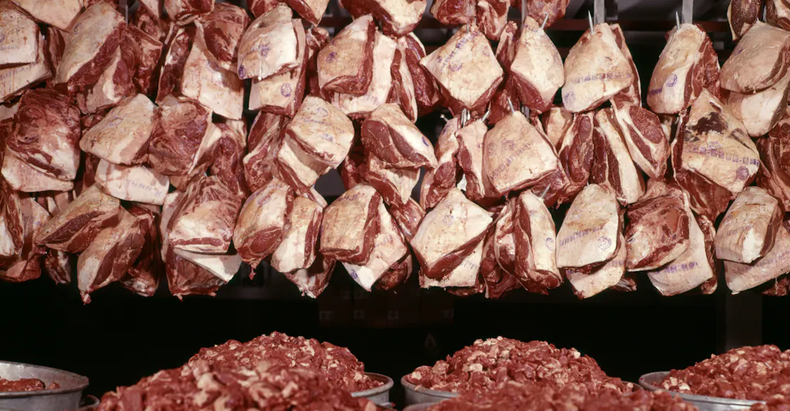 Why Right Wingers Are So Afraid of Men Eating Vegetables Why Right Wingers Are So Afraid of Men Eating Vegetables