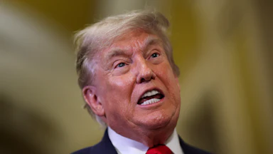 Donald Trump winces