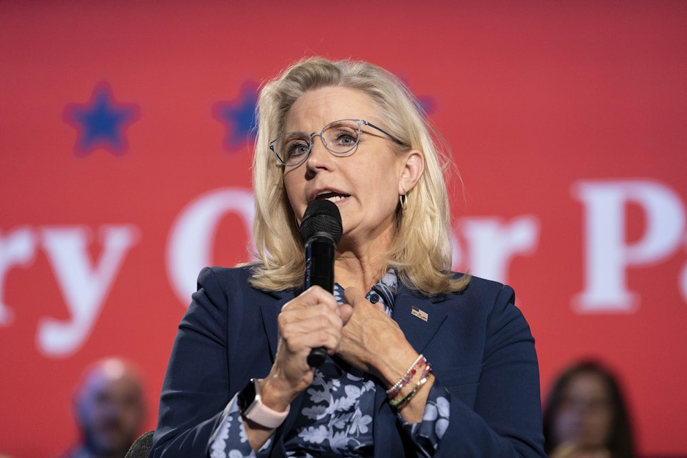 Liz Cheney speaks into a microphone