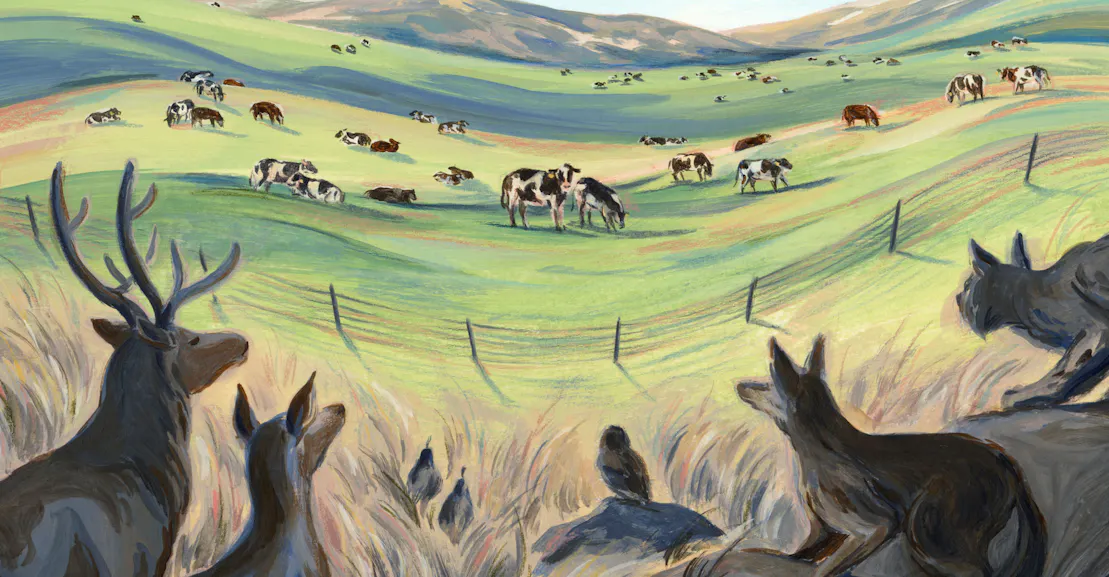 The Myth of Regenerative Ranching The Myth of Regenerative Ranching