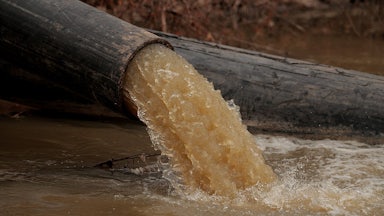 Brown water pours out of a pipe, against a riverbank.