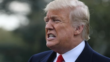 President Donald Trump speaks to the media about birthright citizenship.