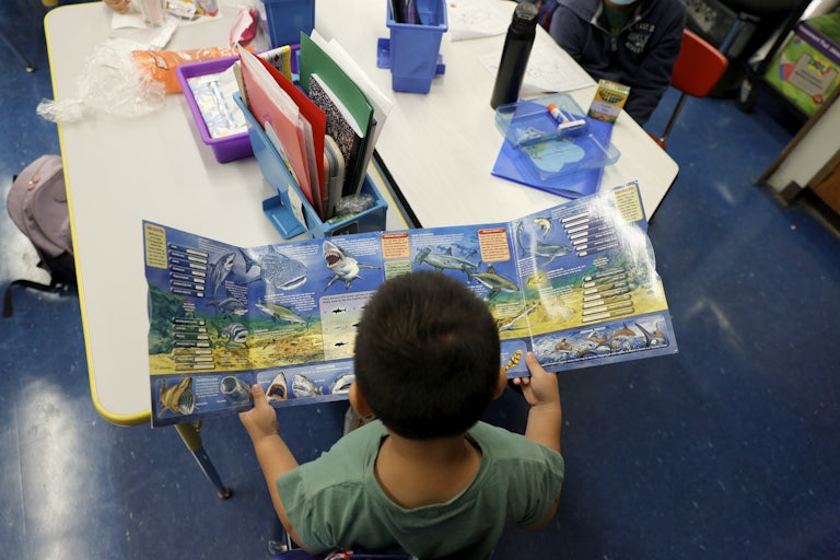 A student looks at learning material featuring sharks.