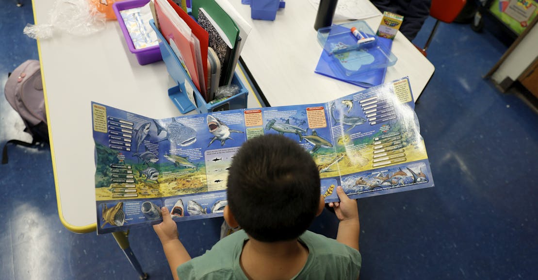 The Republican Plan to Devastate Public Education in America The Republican Plan to Devastate Public Education in America