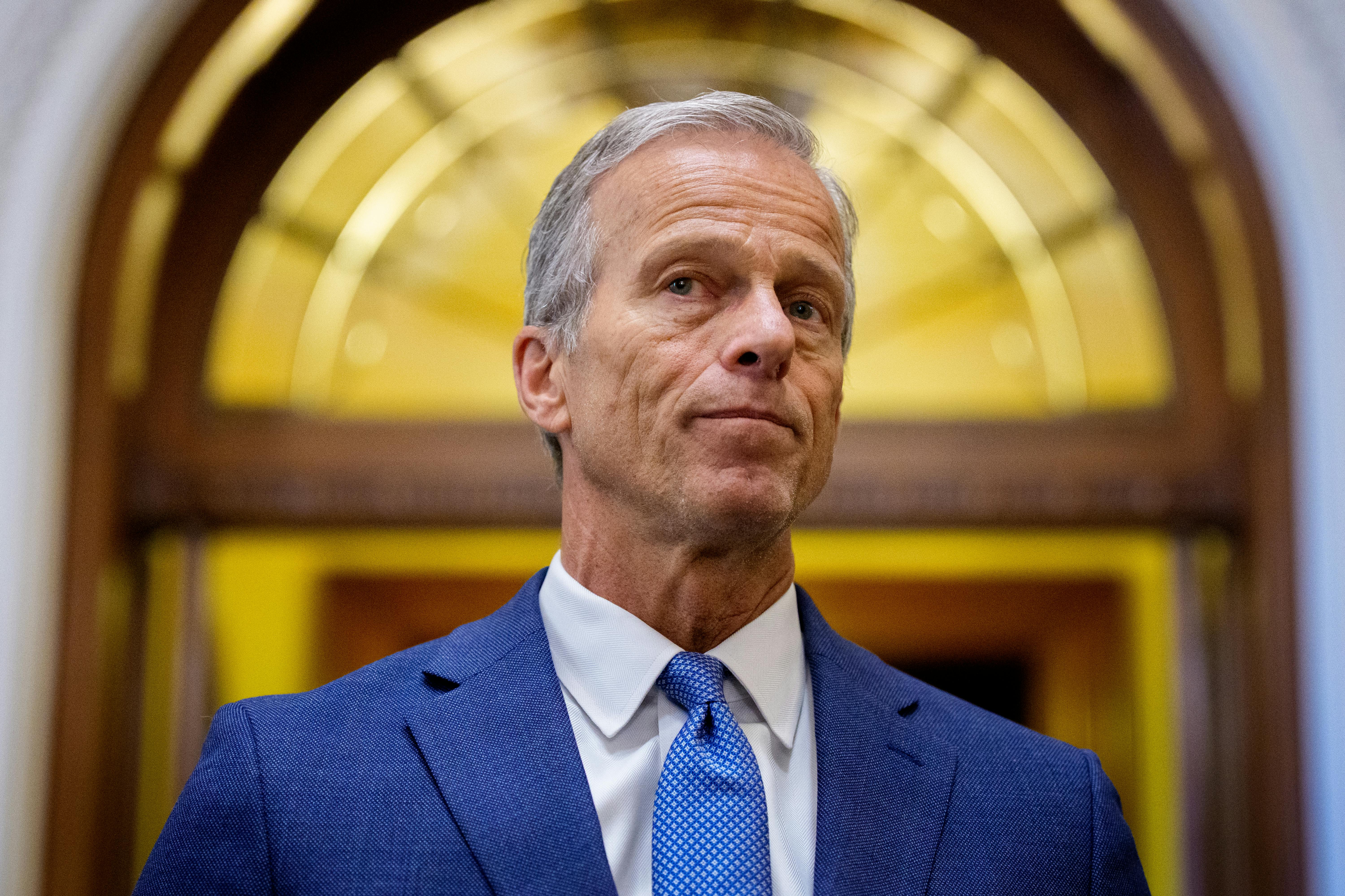 John Thune looks out in front of a doorway