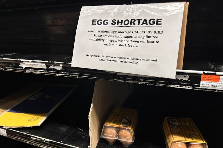 A sign reads "EGG SHORTAGE: Due to national egg shortage CAUSED BY BIRD FLU, we are currently experiencing limited availability of eggs. We will do our best to maintain stock levels." The sign is placed on an empty grocery shelf. The left below is also empty, save only two 12-count cartons of eggs.