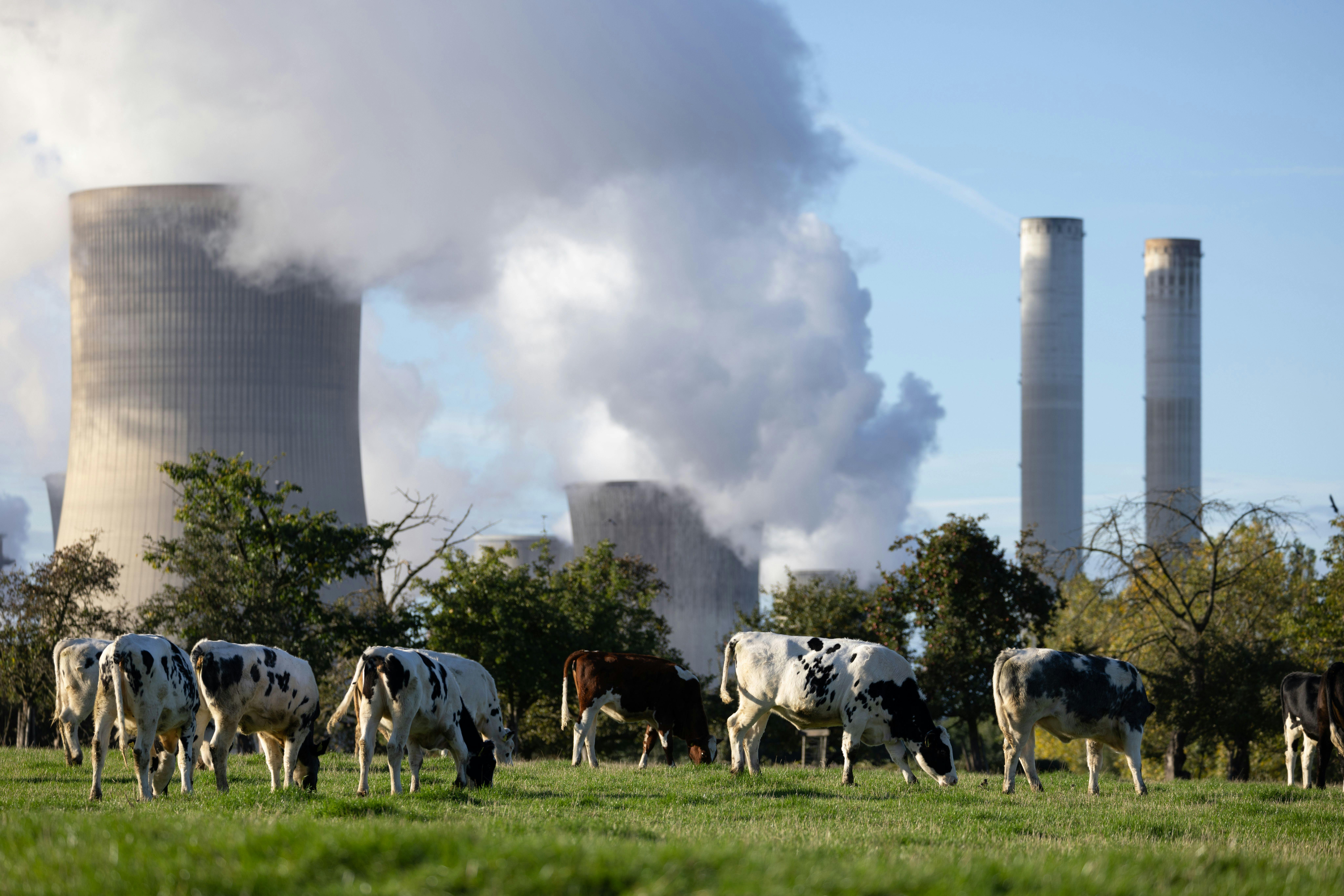 No, the Government Isn’t Coming for Your Burger—but Maybe It Should Be