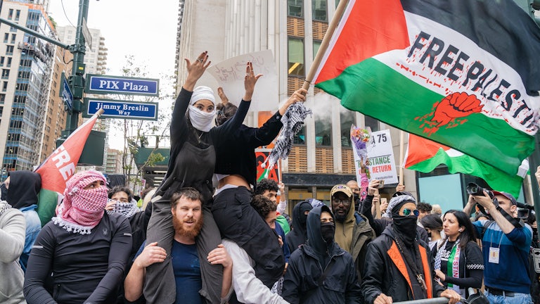 Pro-Palestinian supporters, including members of the Democratic Socialists of America