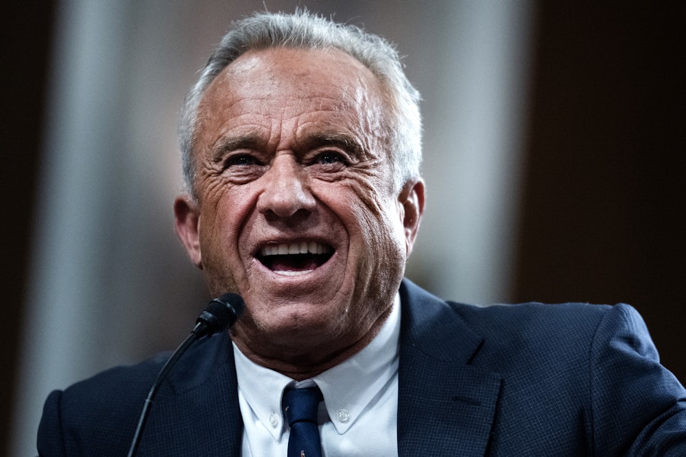 Robert F. Kennedy Jr. during his Senate confirmation hearing