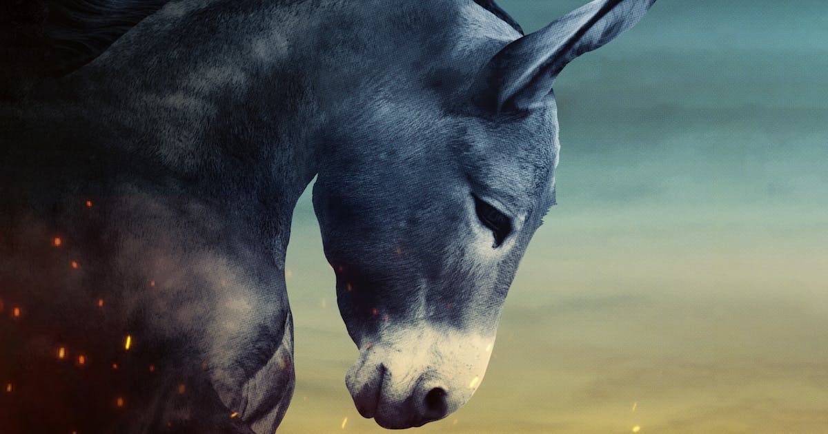 What the Democrats Need to Do Now