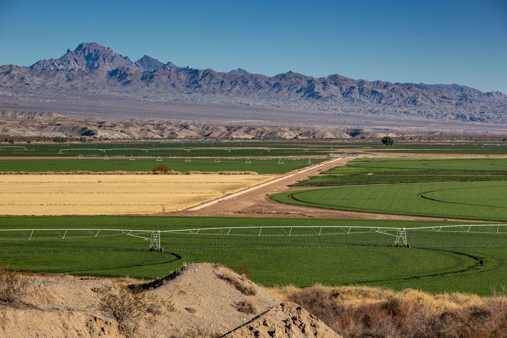 Large irrigation systems water alfalfa fields.