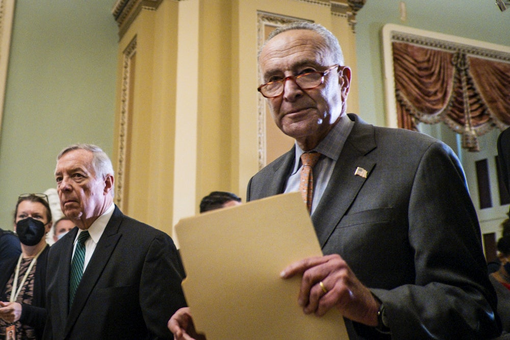 Senate Majority Leader Chuck Schumer and Senator Dick Durbin speak to reporters.