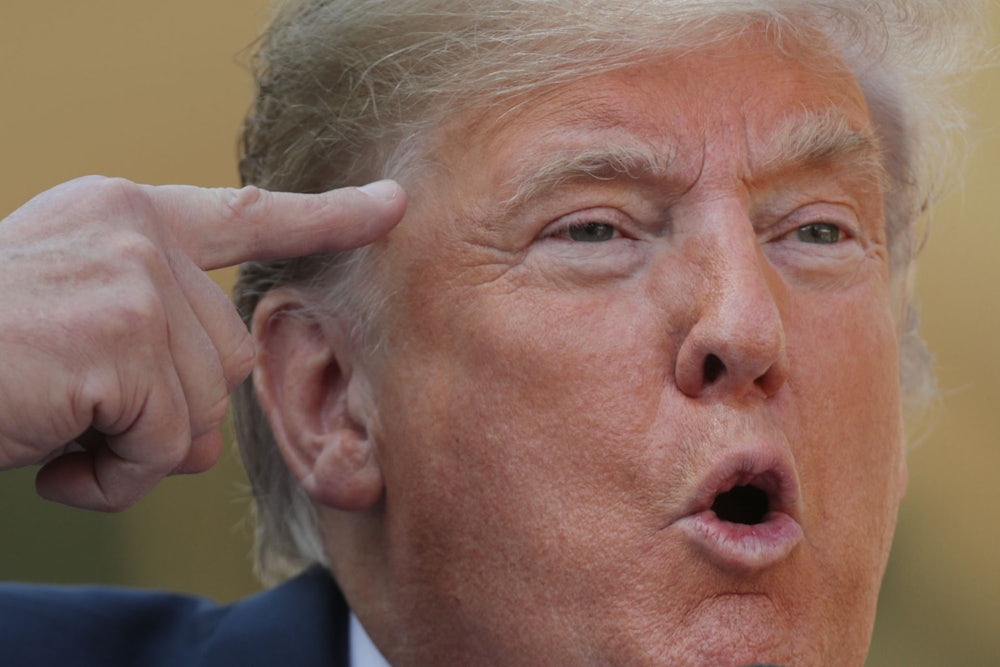 Donald Trump points at his own head