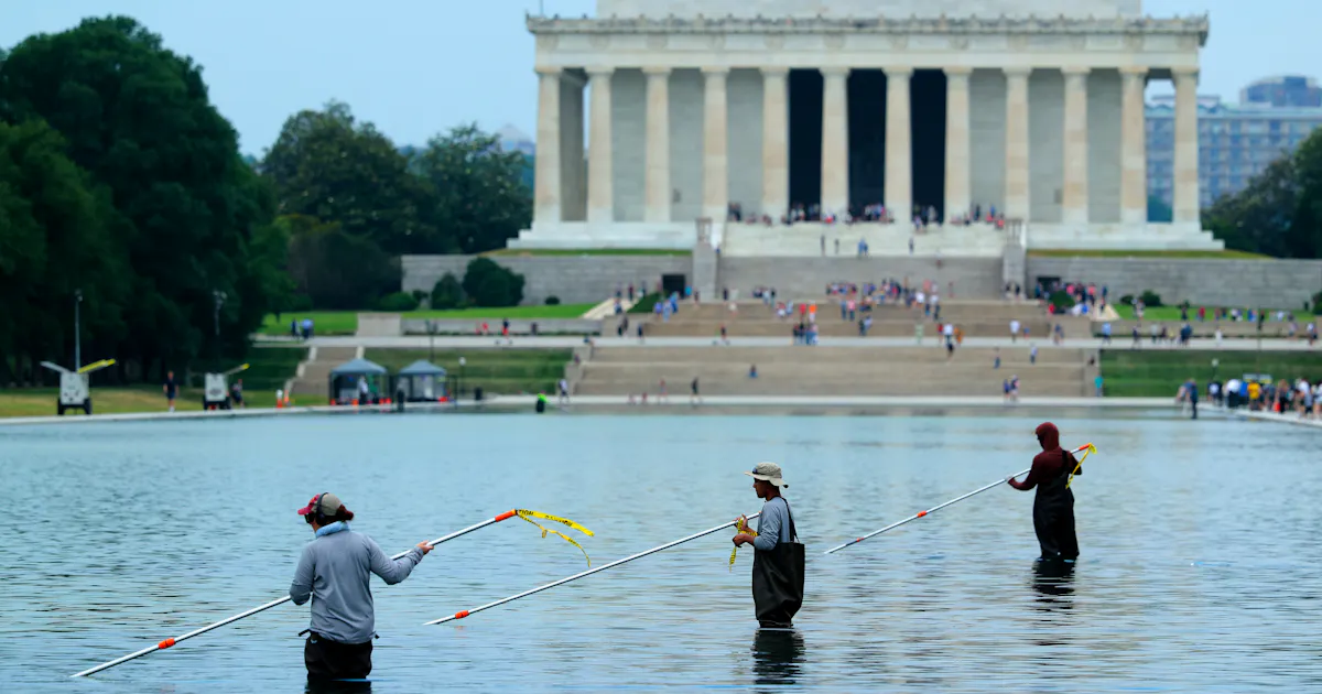 Vandalism at the Reflecting Pool? Yes—It Was
Committed by Donald Trump