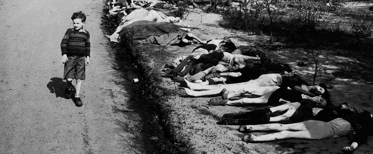 'The Temptation of Despair' by Werner Sollors, Reviewed