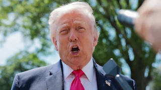 Donald Trump speaking into a mic.