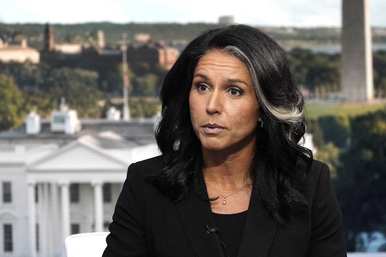 Tulsi Gabbard