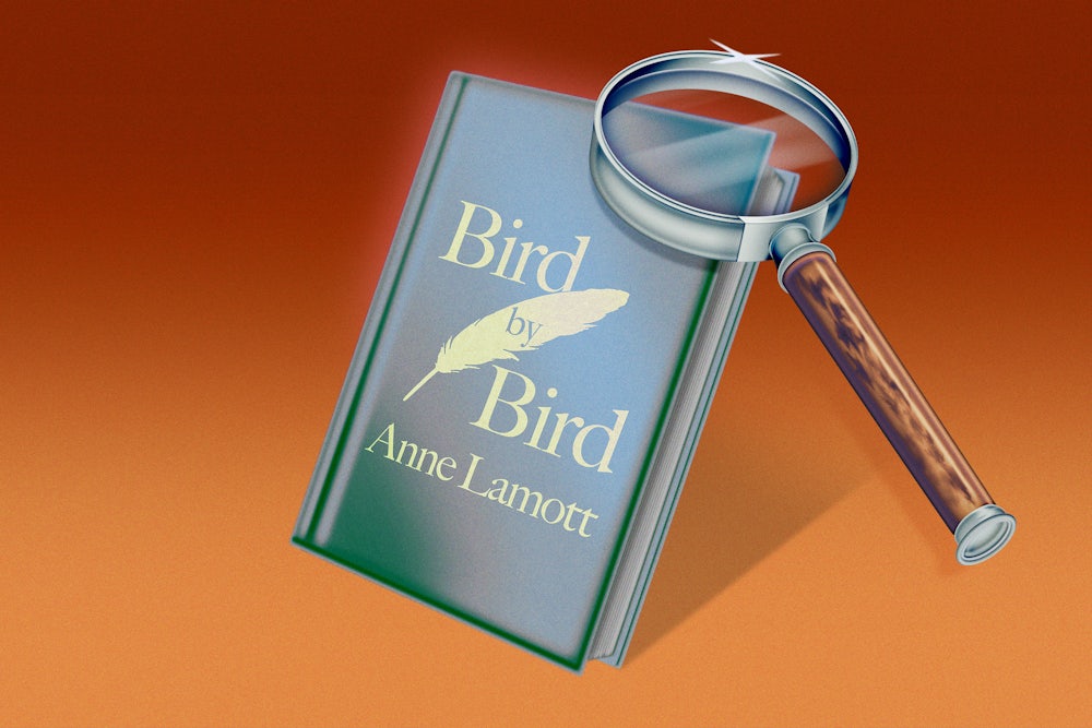 Illustration of the book "Bird by Bird" by Anne Lamott