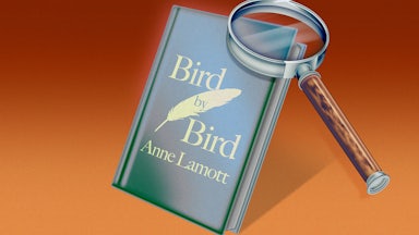 Illustration of the book "Bird by Bird" by Anne Lamott