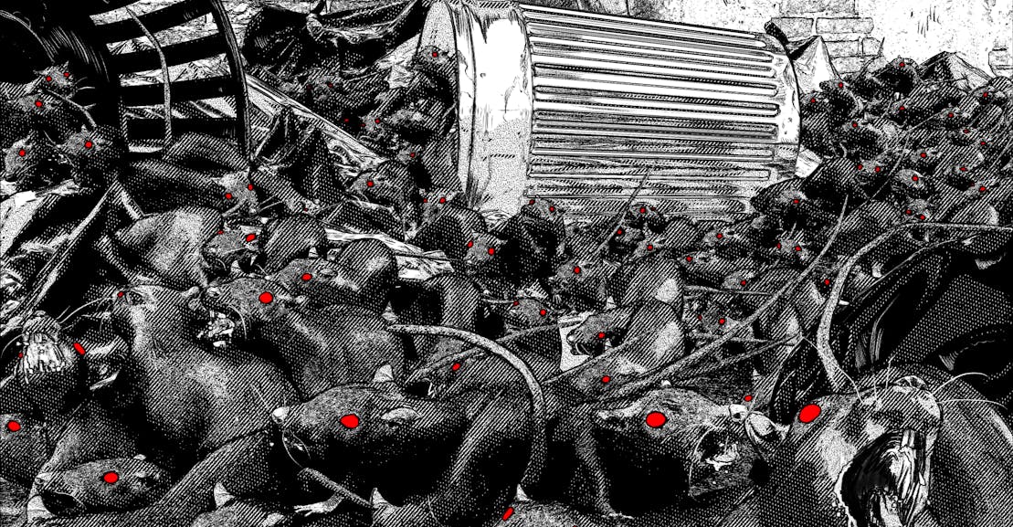 e2c1ddeb29b4321a4fcf4b7c81514b61c3ebb733