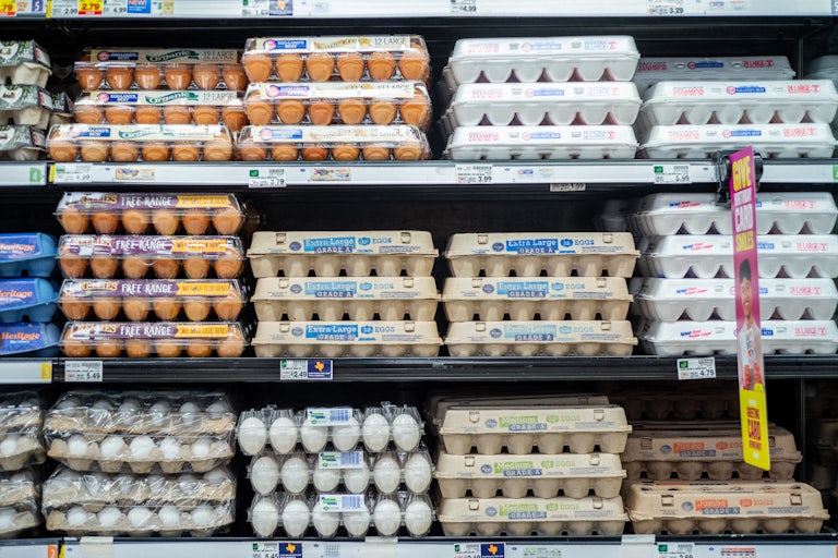 Cartons of eggs on shelves at a grocery store. The prices start at $2.49 a dozen.