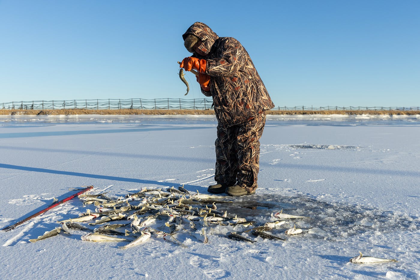 Elder Luther Savetilik fishes for tomcod, which he’ll cook whole and serve with eggs. Many local residents count on fish and game harvested from the land to supplement their diets.