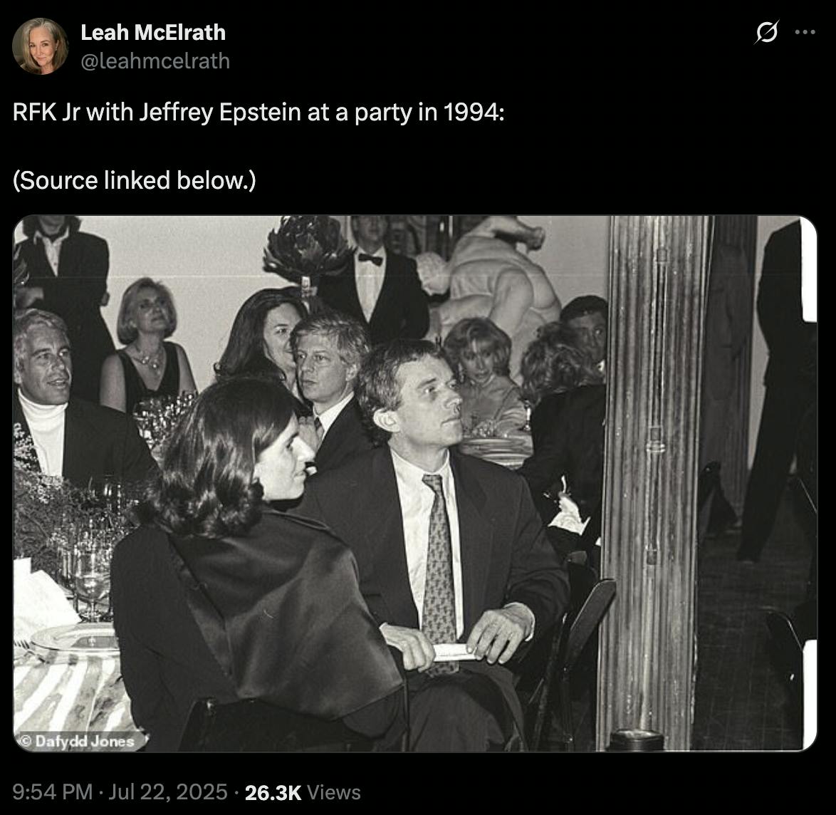 X screenshot Leah McElrath @leahmcelrath RFK Jr with Jeffrey Epstein at a party in 1994: (Source linked below.) (photo)