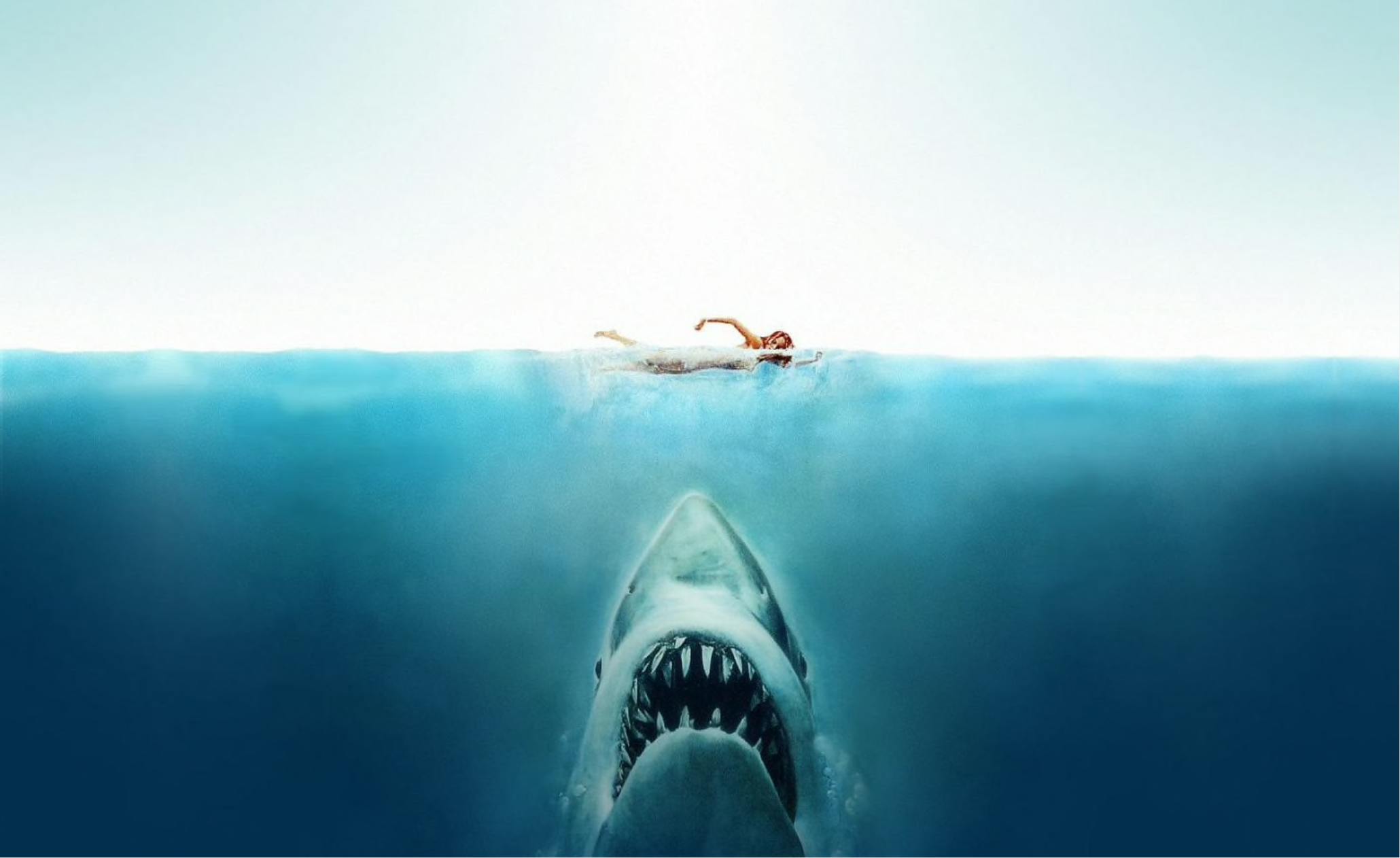 new shark movie