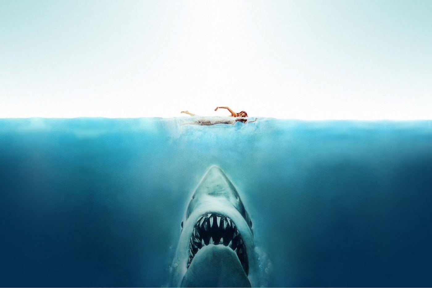 Jaws- Disappointing continuation