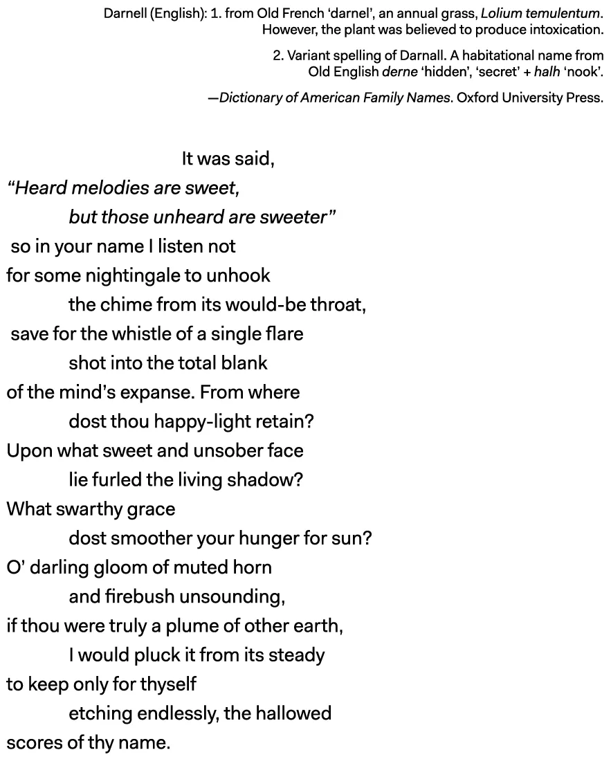 Ode to Darnell, the Erased Negro in the Middle of My Name