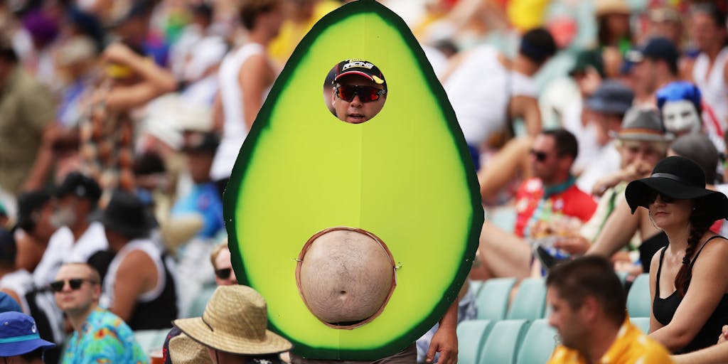 The Media S Dumb Avocado Hysteria The New Republic The Media S Dumb Avocado Hysteria The New Republic