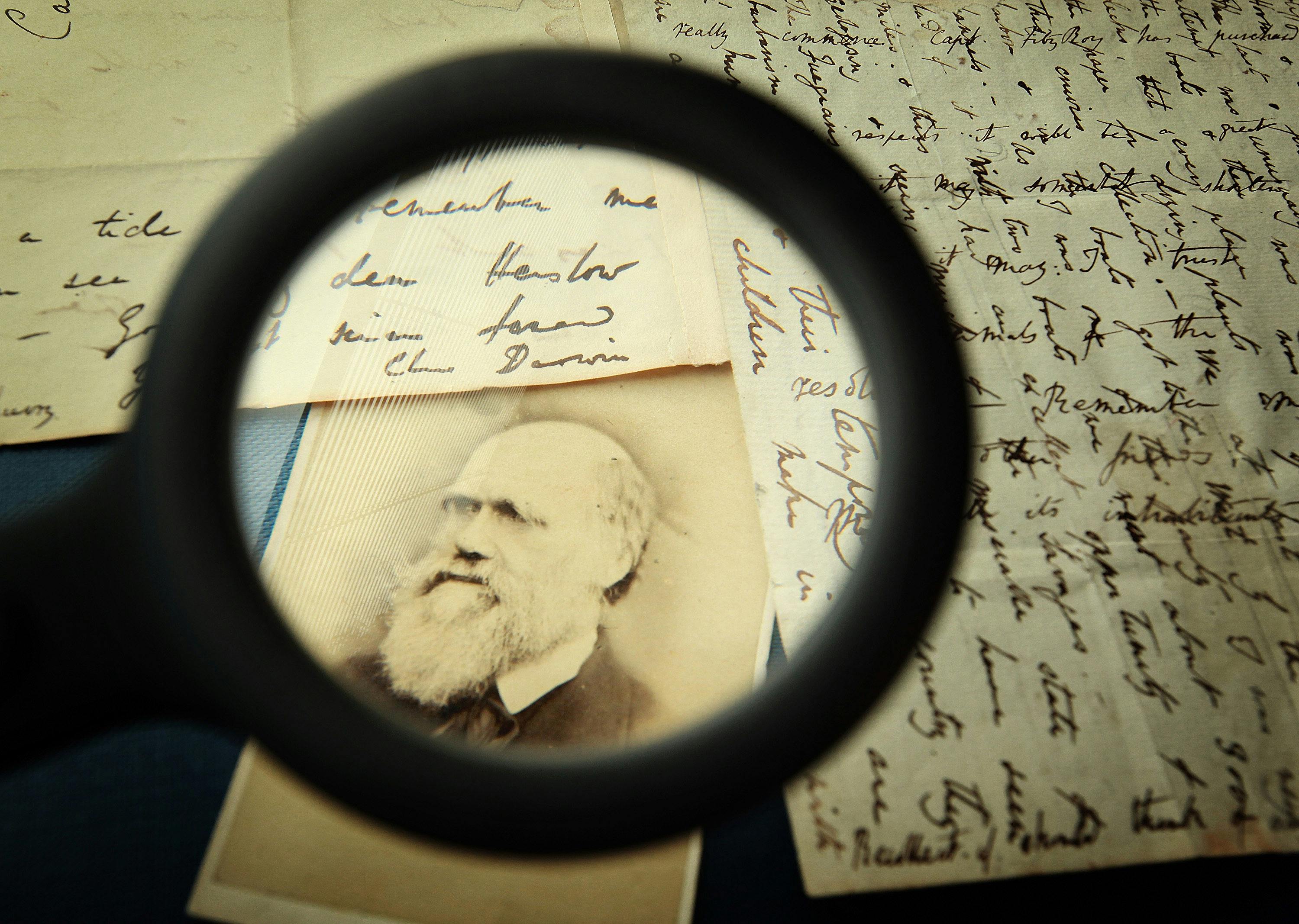 How Scientists Discovered Extra Steps in Evolution