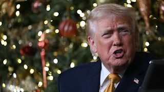 Donald Trump speaks in front of a Christmas tree