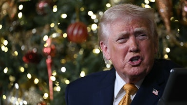 Donald Trump speaks in front of a Christmas tree