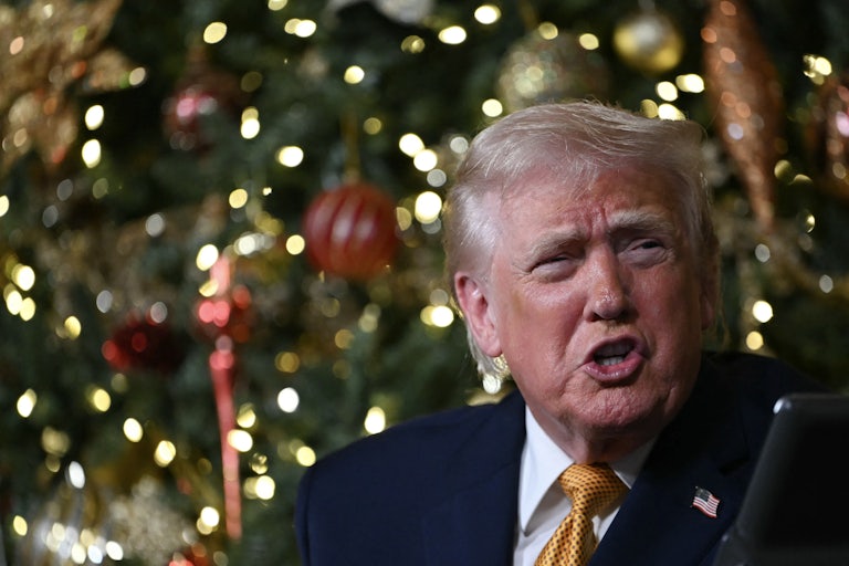 Donald Trump speaks in front of a Christmas tree