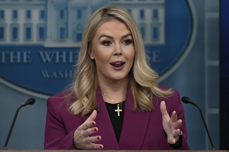 Press Secretary Karoline Leavitt gestures while speaking during her press briefing