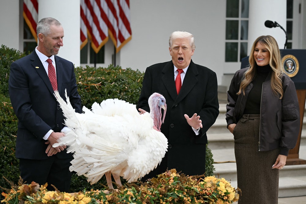 Melania Trump smiles as Donald Trump makes an odd face while gesturing at the turkey standing in front of them. Another person looks on from the side.