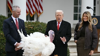 Melania Trump smiles as Donald Trump makes an odd face while gesturing at the turkey standing in front of them. Another person looks on from the side.
