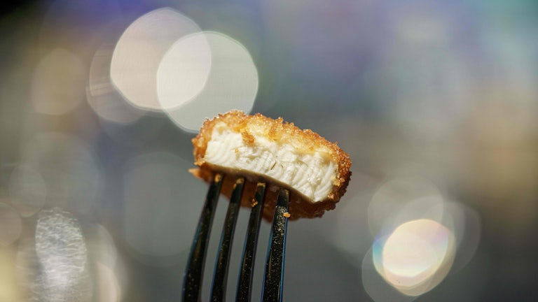 A lab-grown chicken nugget, on a fork