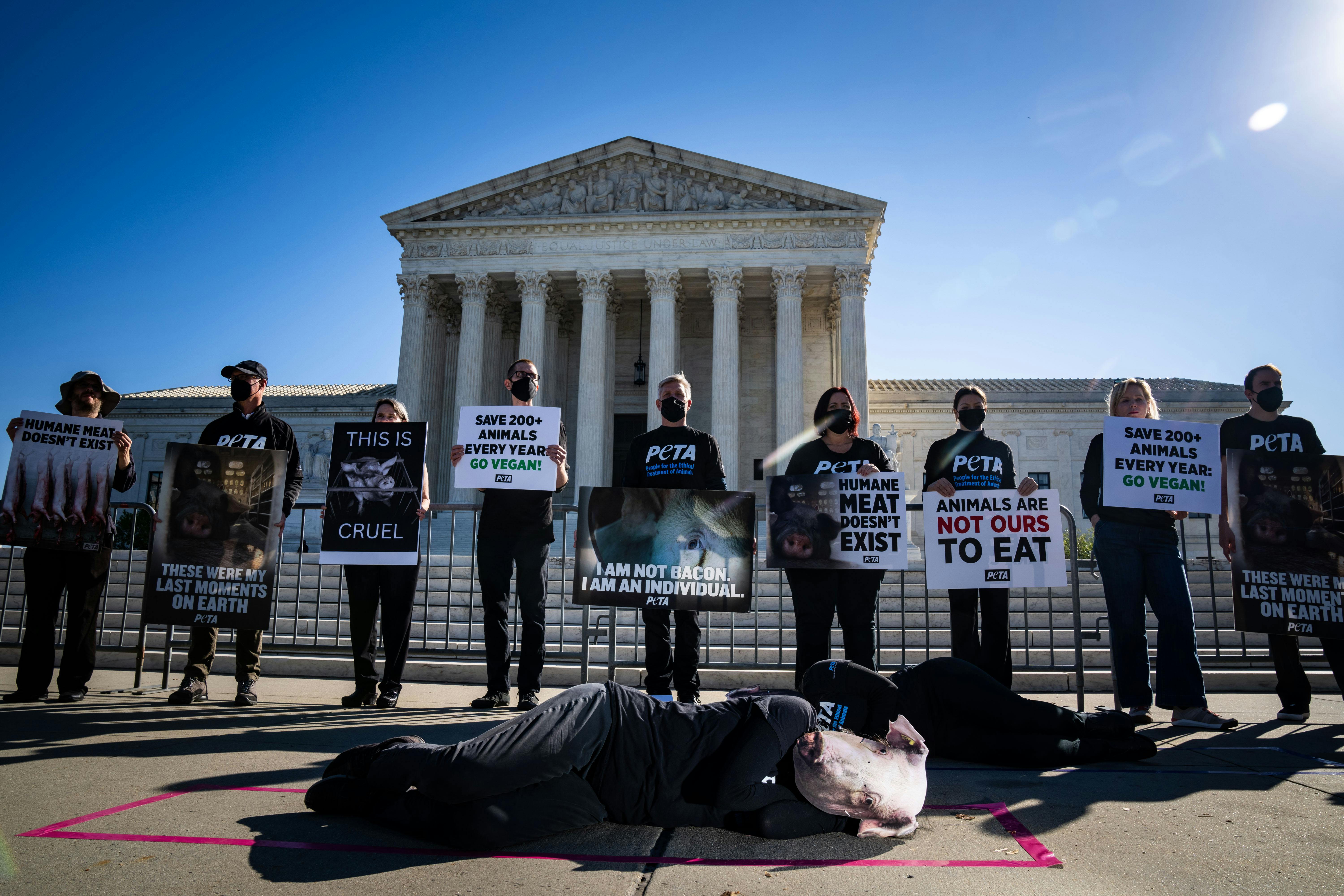 Demonstrators hold signs in front of the Supreme Court. One wearing a pig mask lies on the ground.
