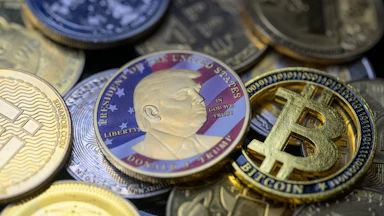 Donald Trump coin is pictured alongside Bitcoin and various other cryptocurrencies in this photo illustration