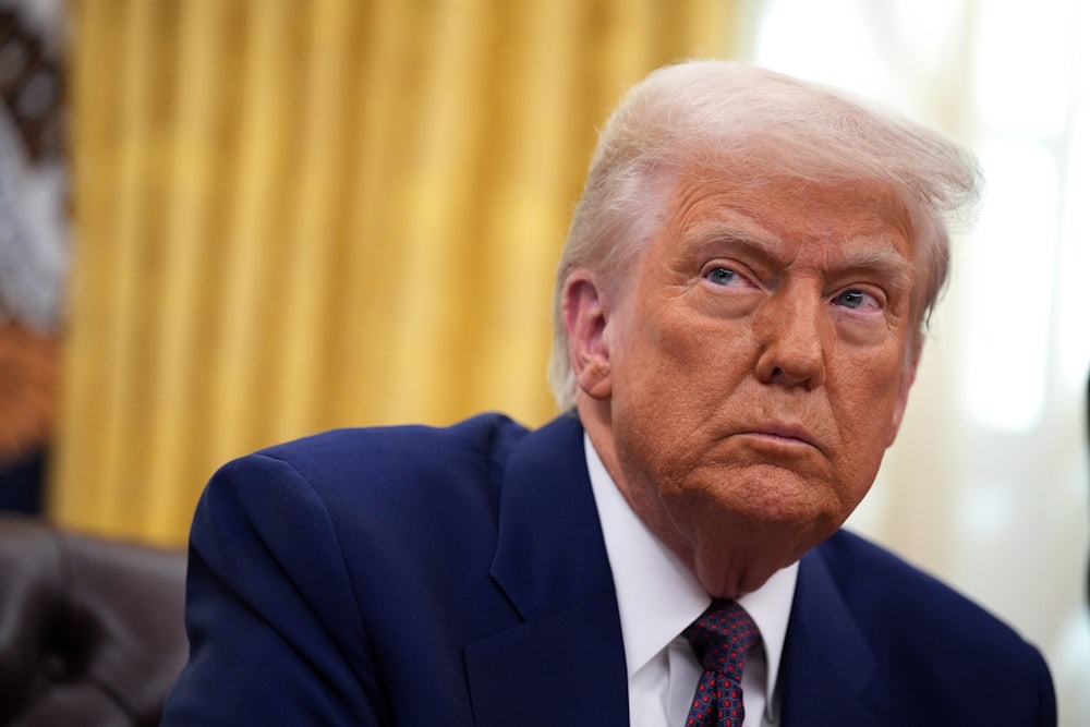 Donald Trump in the White House