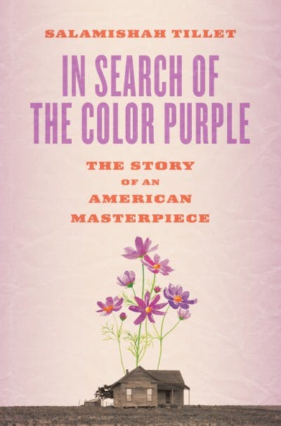 the color purple book review essay