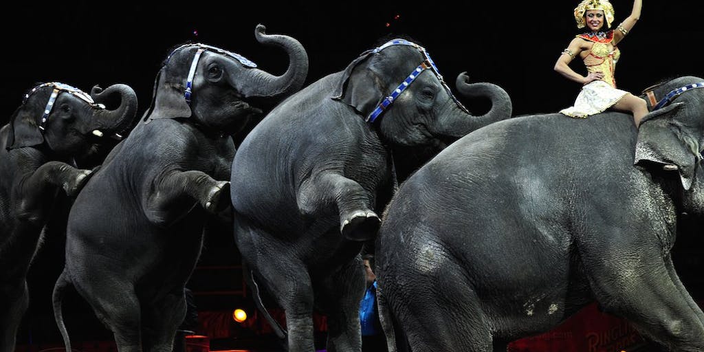 Ringling Brothers Circus Phases Out Elephants By 2018 | The New Republic